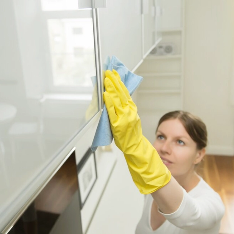 gaziantep temizlik firması